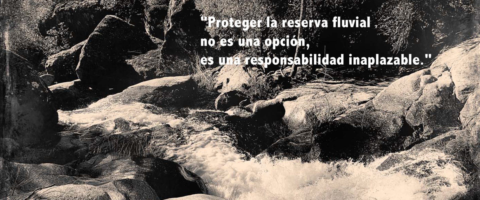 ave poyales_190810_0149-04